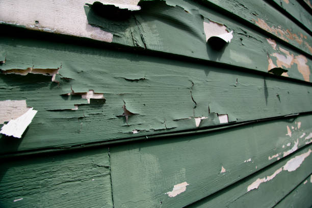 Best Siding Removal and Disposal  in Inverness, CA