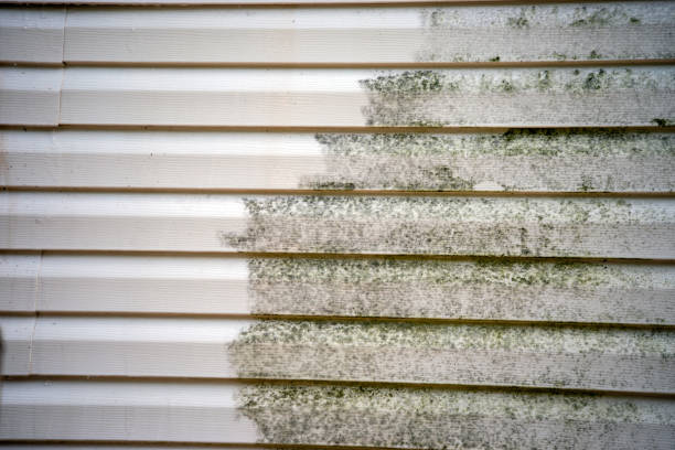 Best Residential Vinyl Siding Installation  in Inverness, CA